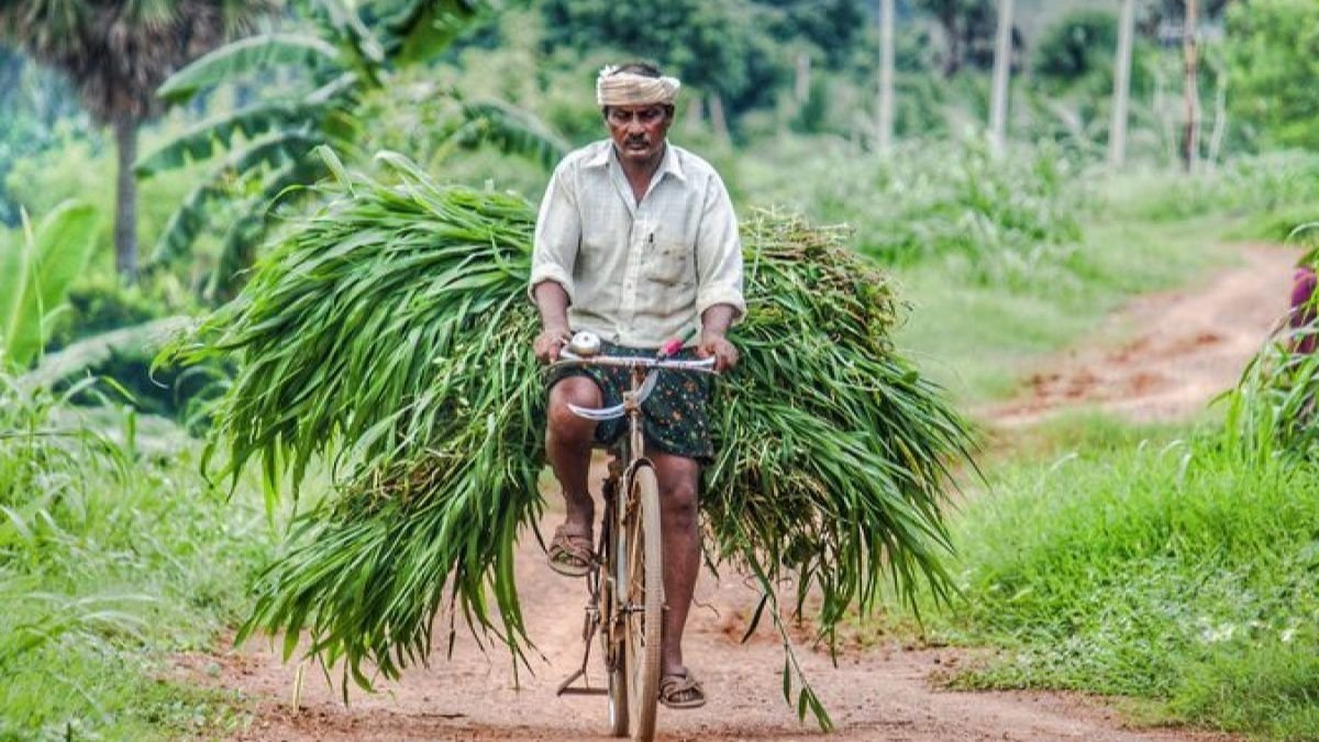 AP Diary Farmers Scheme 2025 Application Process AP Diary Farmers Scheme 2025 Application Process