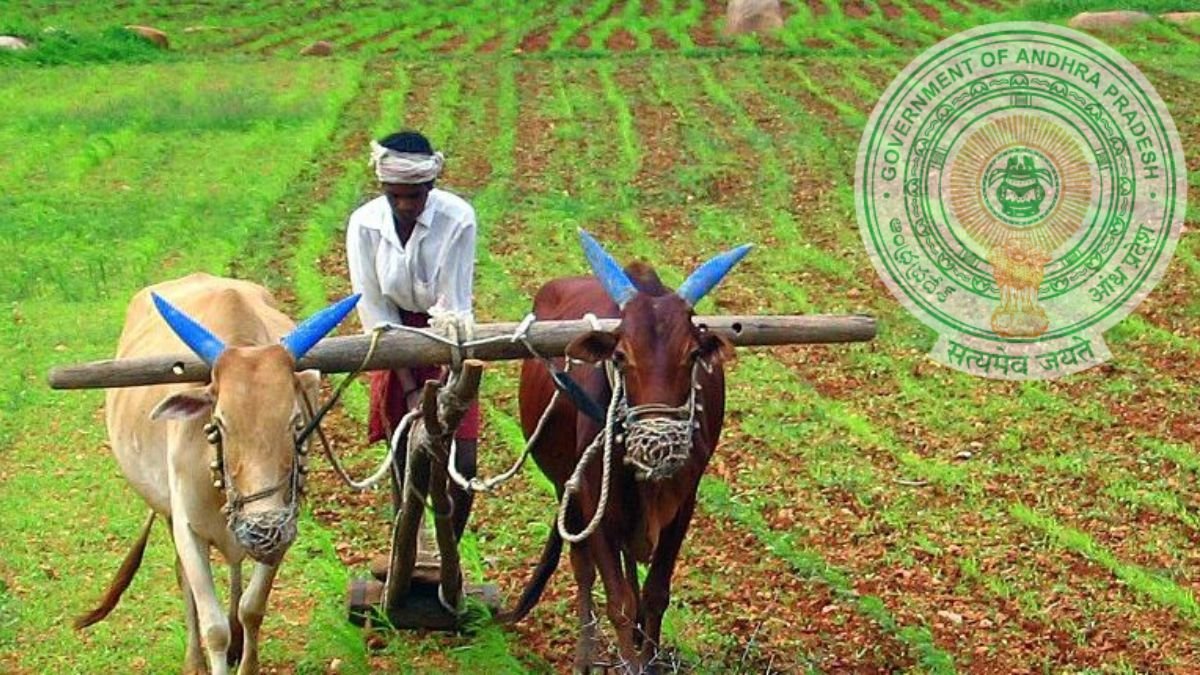 AP Diary Farmers Scheme 2025 Benefits AP Diary Farmers Scheme 2025 Benefits