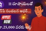 Phonepe Firecracker Insurance 2025