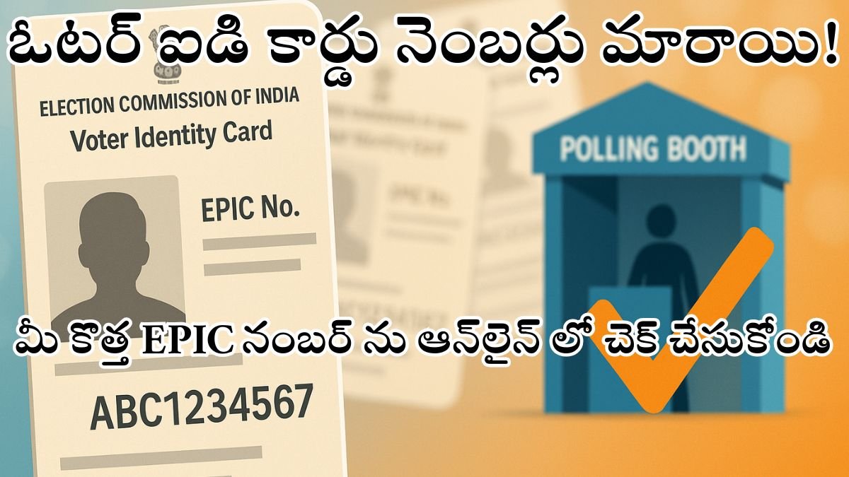 Voter ID Numbers Updated 2025